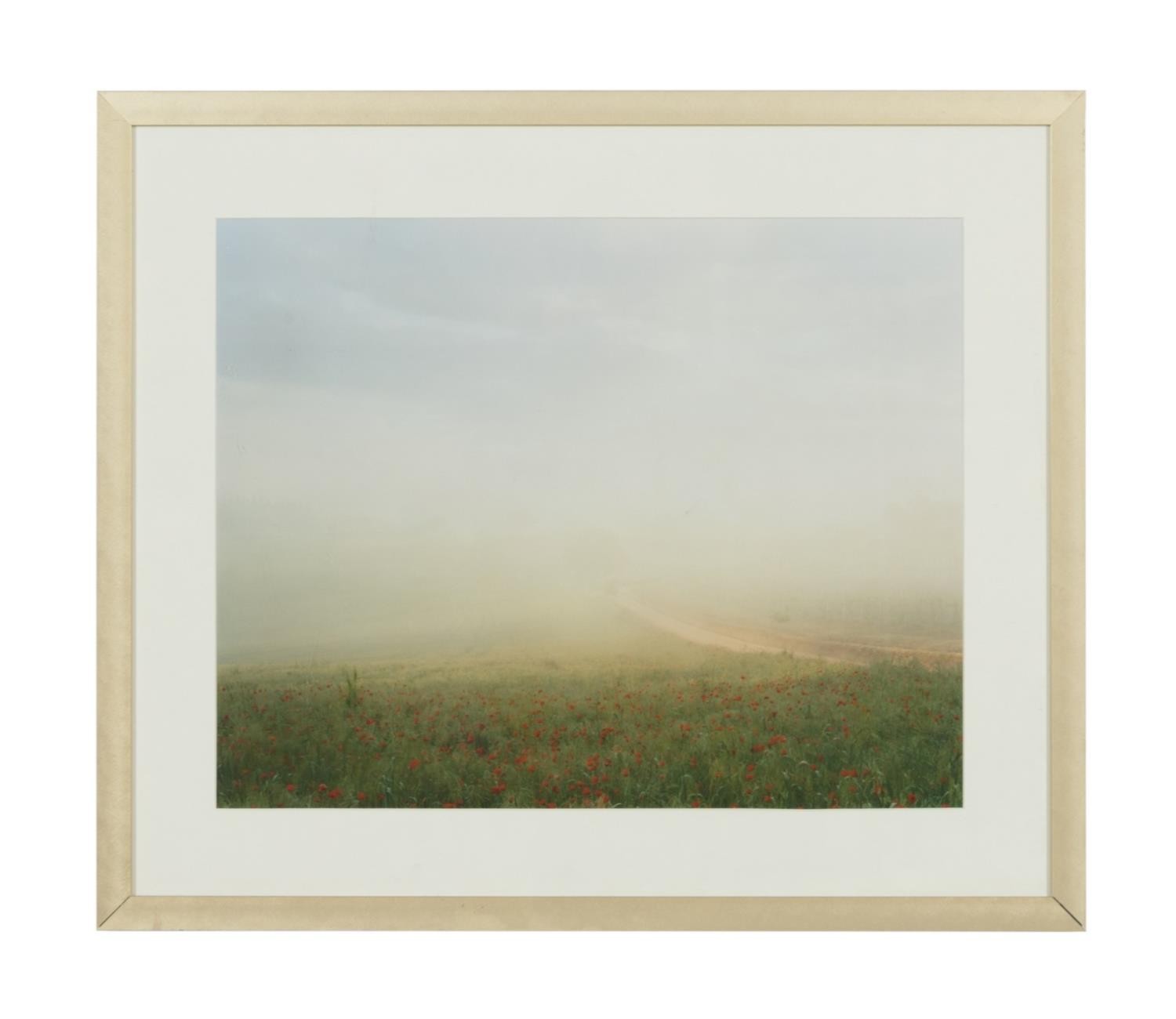 JOEL MEYEROWITZ, DIGITAL PRINT FROM