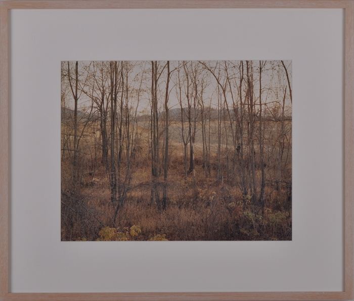 JOEL STERNFELD (b. 1940): NEAR