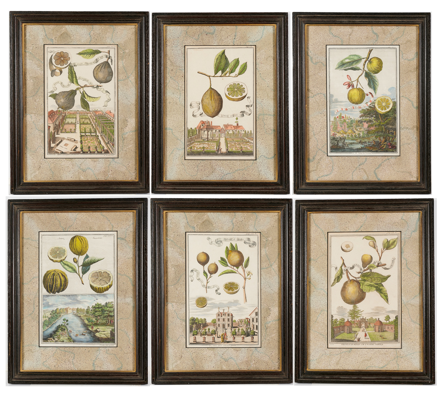 JOHANN CHRISTOPH VOLCKAMER, (6)
