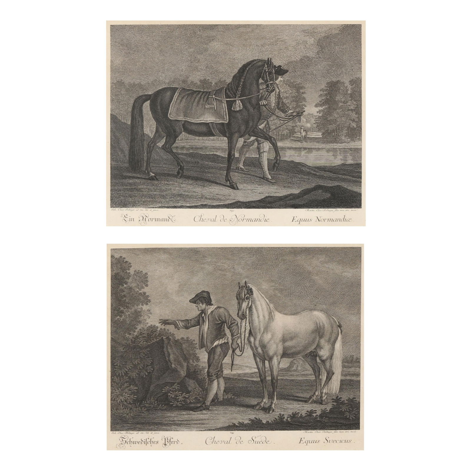 JOHANN ELIAS RIDINGER (GERMAN,