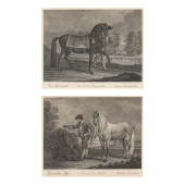 JOHANN ELIAS RIDINGER (GERMAN,