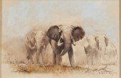 JOHANN KOCH (SOUTH AFRICAN, B.