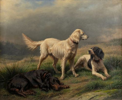 JOHANNES CHRISTIAN DEIKER