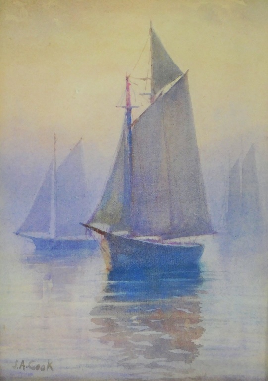JOHN A. COOK NOCTURNAL MISTY