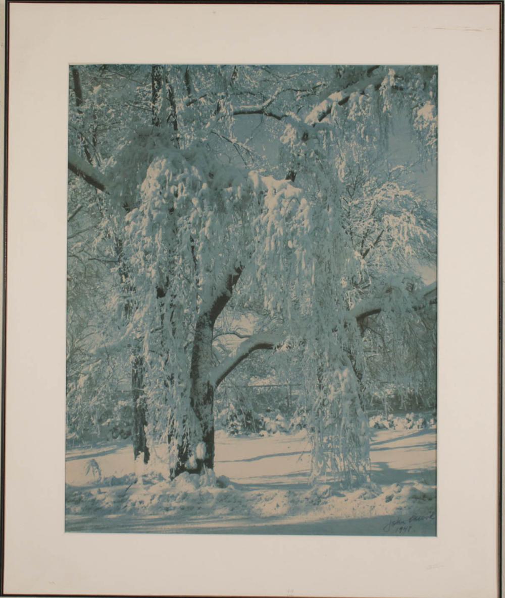JOHN ALBOK BLUE-TONED
