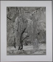 JOHN ALBOK GELATIN SILVER PRIN