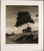 JOHN ALBOK GELATIN SILVER PRIN