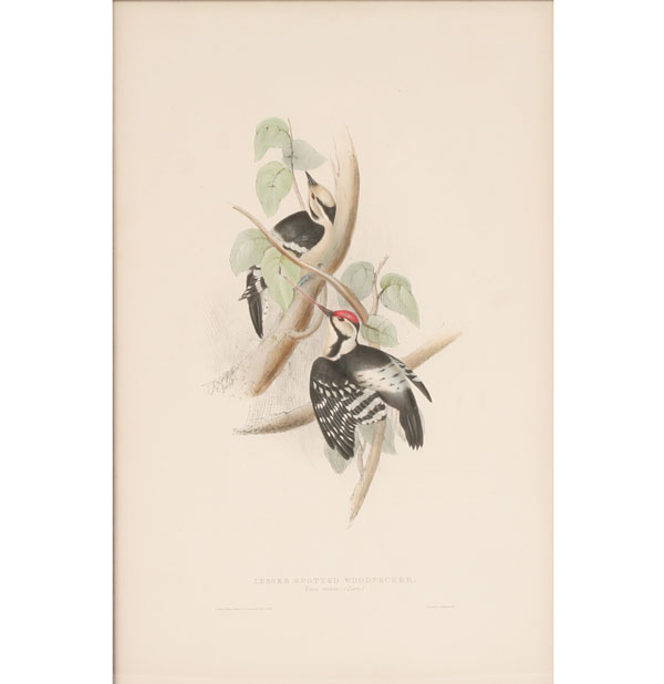 John and Elizabeth Gould