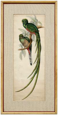 John and Elizabeth Gould print