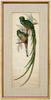 John and Elizabeth Gould print