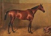 JOHN ARNOLD ALFRED WHEELER, (E