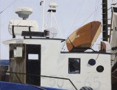 JOHN AUSTIN TEMPERA ON ARTIST
