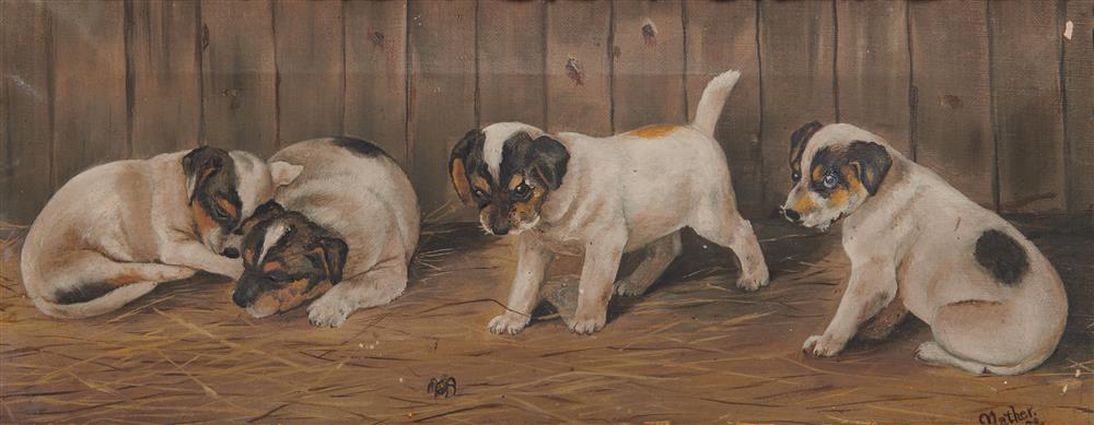 JOHN B. MATHER, (AUSTRALIAN,