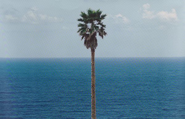 JOHN BALDESSARI (AMERICAN, 1931 -