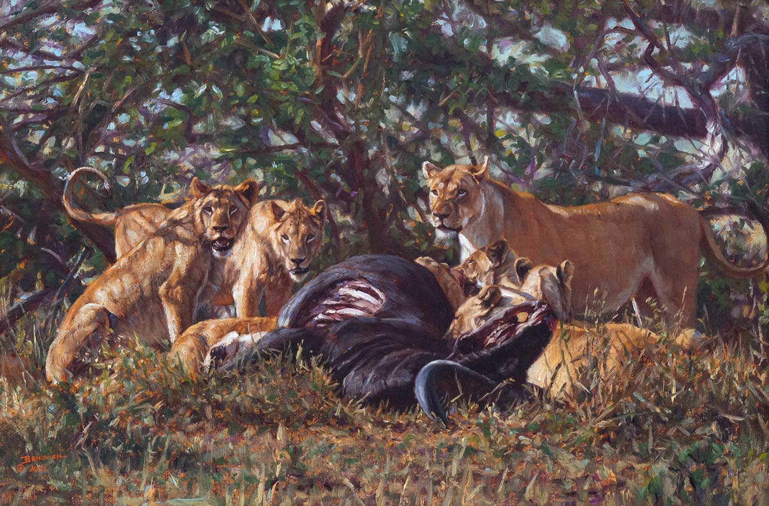 JOHN BANOVICH (1964- ), BUFFALO
