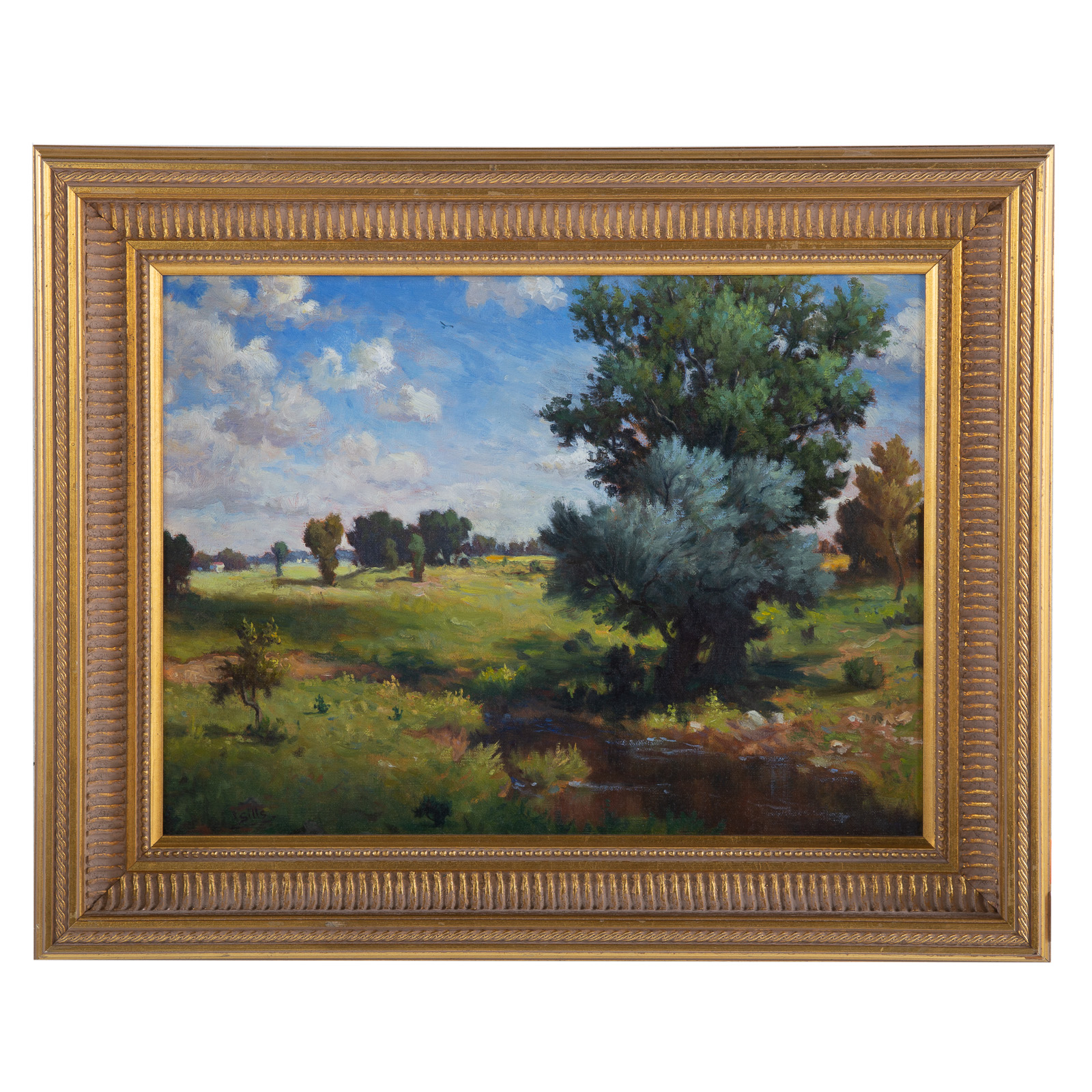 JOHN BRANDON SILLS. SPRING
