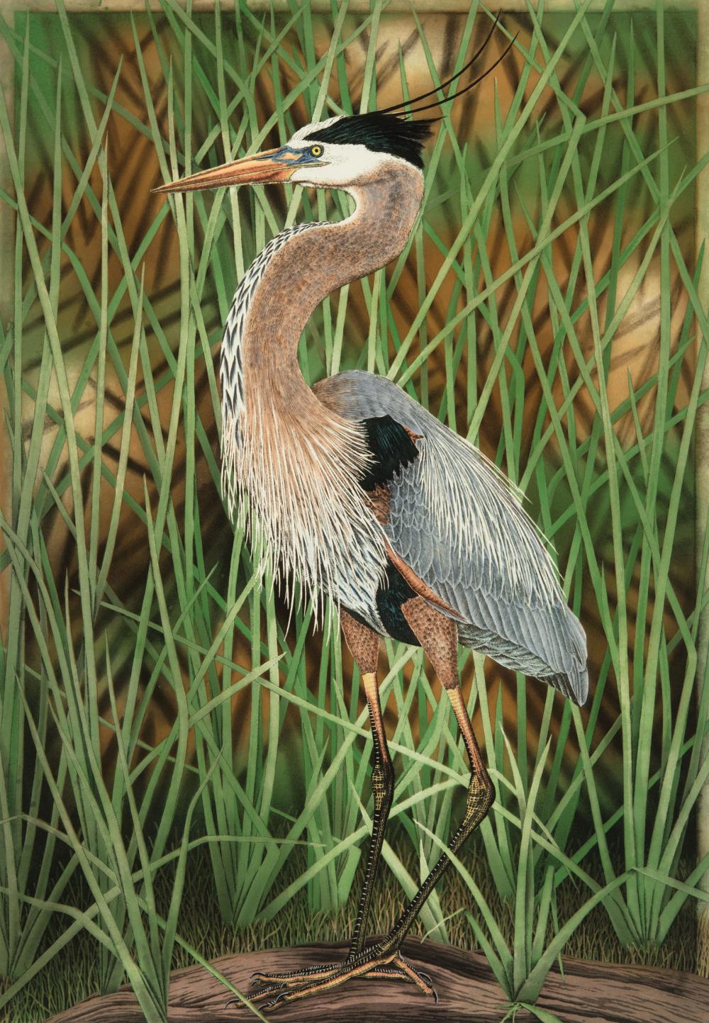 JOHN COSTIN (AMERICAN/FLORIDA, B.