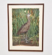 John Costin framed and matted