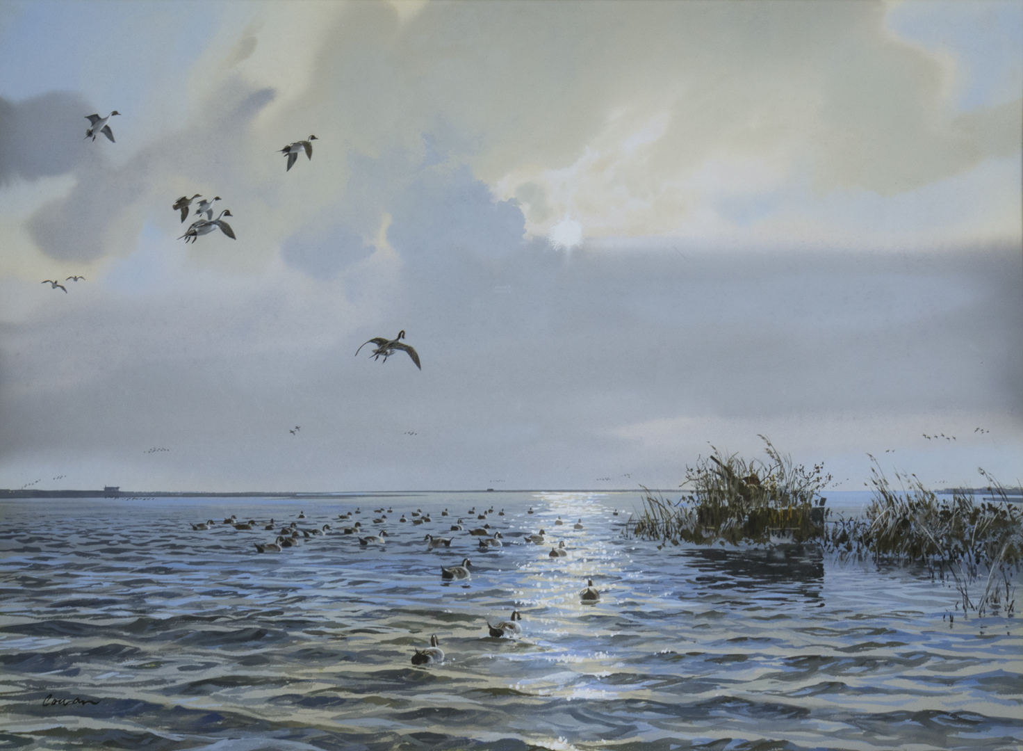 JOHN COWAN (1920-2008), PINTAILS IN