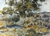 JOHN COWAN (1920-2008), TREE B
