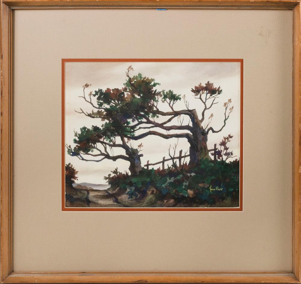 JOHN CUTHBERT HARE