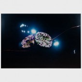 JOHN DAIDO LOON: EVENING MEETI