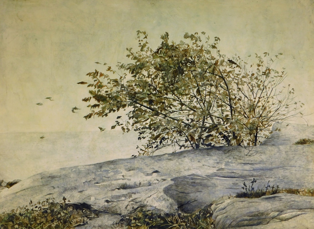 JOHN DOYLE COASTAL CLIFFSIDE