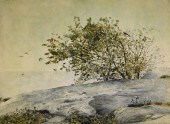 JOHN DOYLE COASTAL CLIFFSIDE L