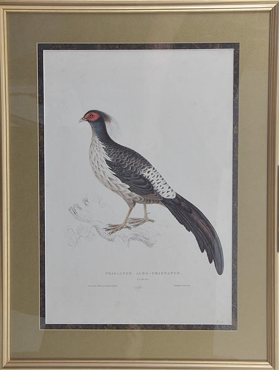 John & Elizabeth Gould (British