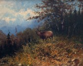 JOHN FERY (1859–1934), BUGLING