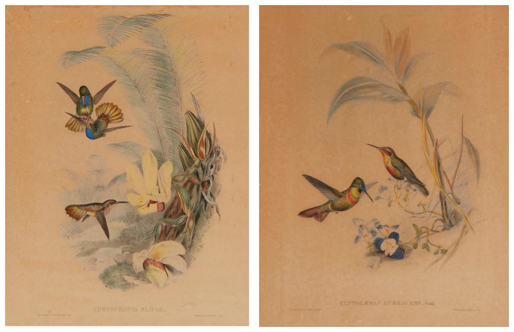 JOHN GOULD (1804-1881) & H.C.