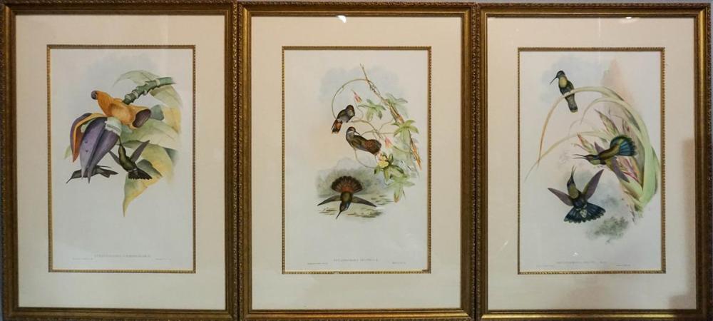 JOHN GOULD AND H.C. RICHTER