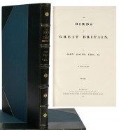 JOHN GOULDS, THE BIRDS OF GREA