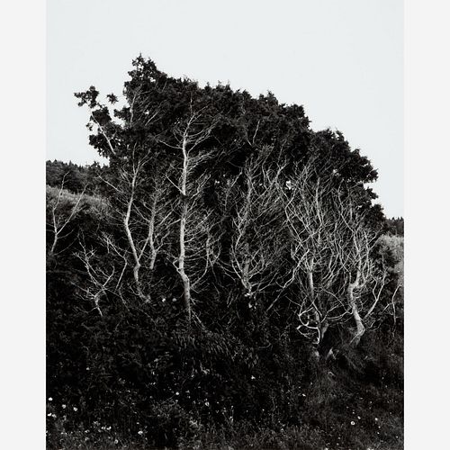 JOHN GUTOWSKI UNTITLED LANDSCAPE