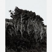 JOHN GUTOWSKI UNTITLED LANDSCA