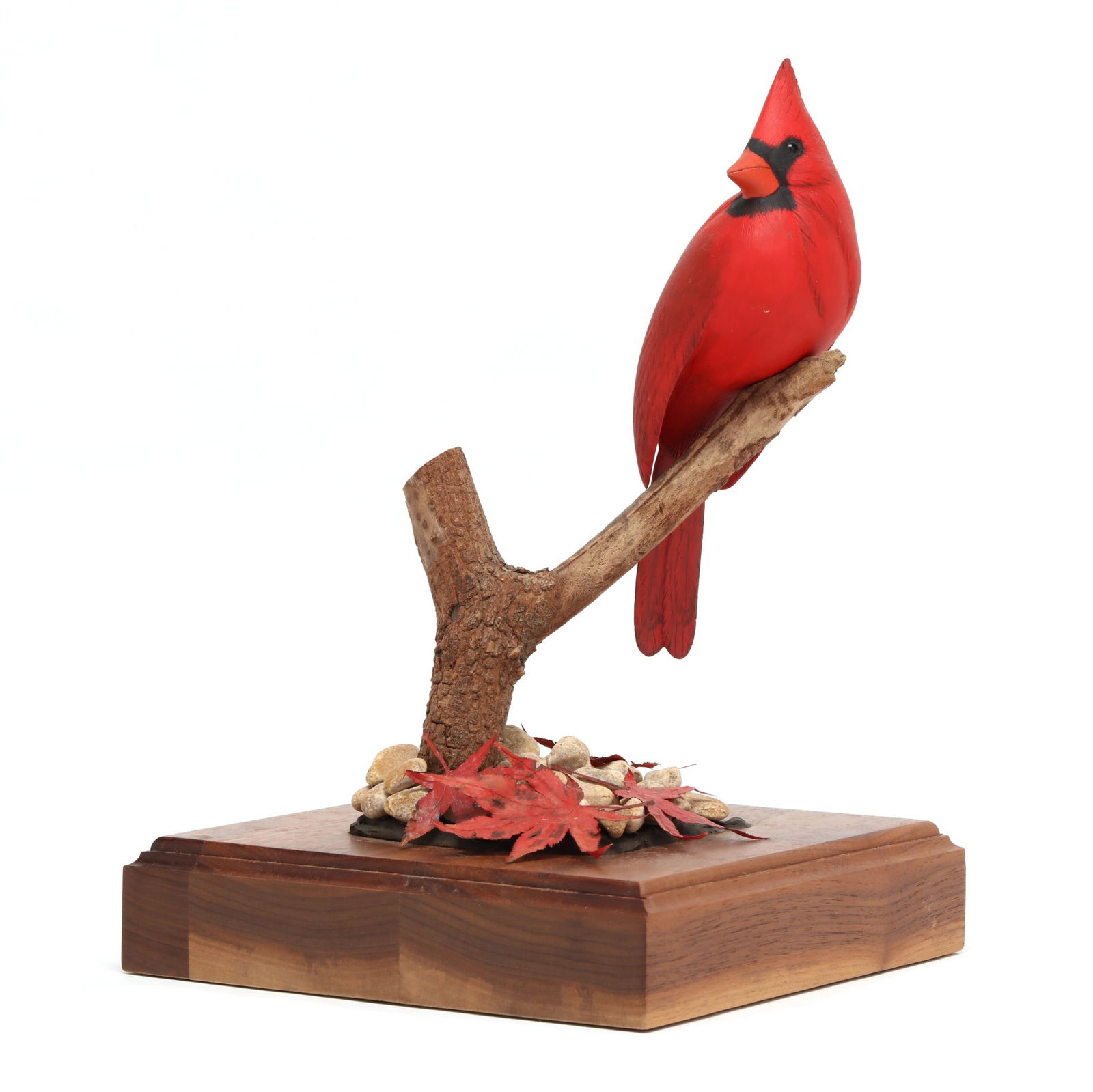 JOHN HODGE (NC), CARDINAL ON