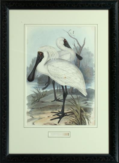 John J. Gould (British, 1801-1881)