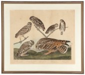 John James Audubon (1785-1851