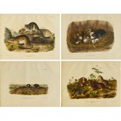 JOHN JAMES AUDUBON, (4) CHROMO
