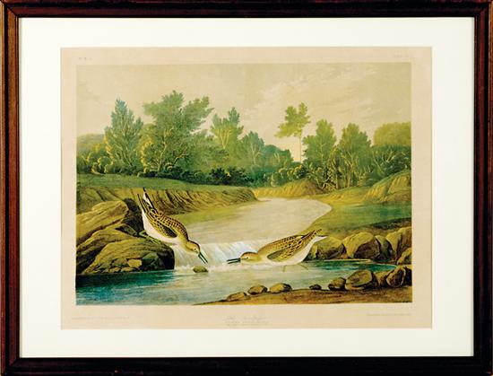 John James Audubon (after) New York