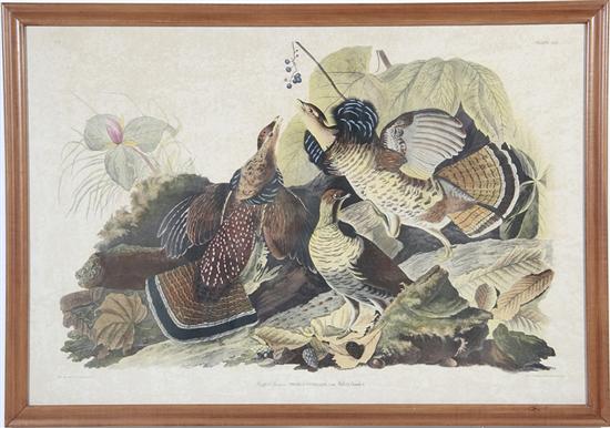 John James Audubon (after) (New