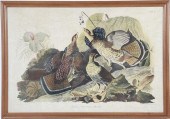 John James Audubon (after) (Ne