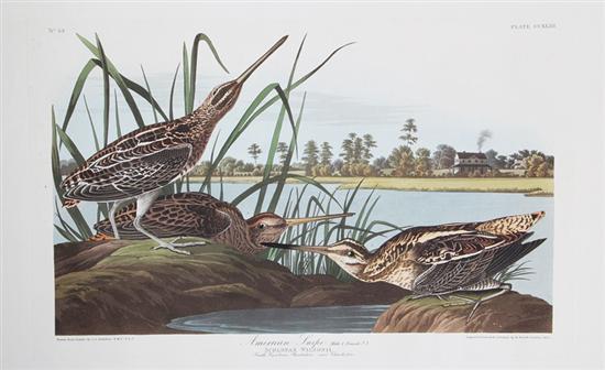 John James Audubon (after) (New