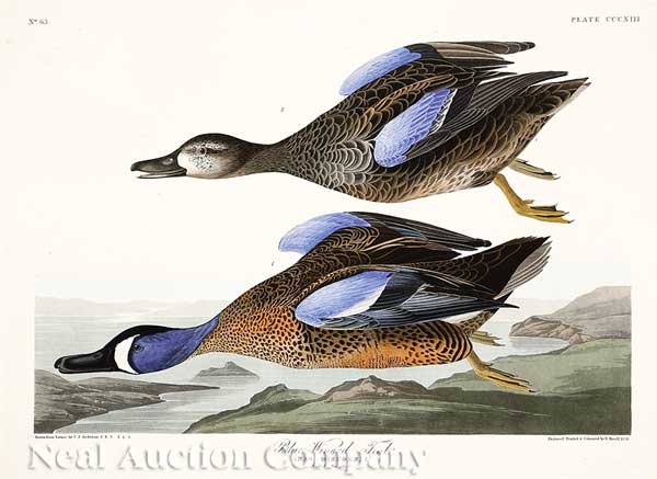 John James Audubon (America