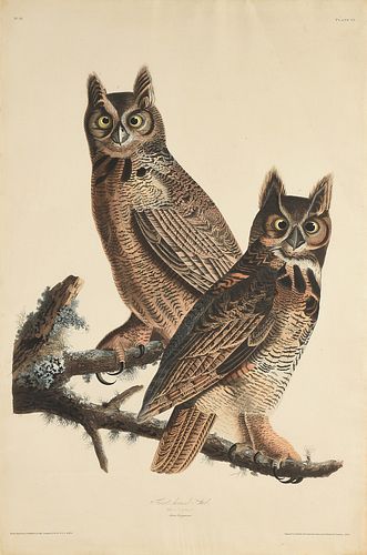 JOHN JAMES AUDUBON (AMERICAN