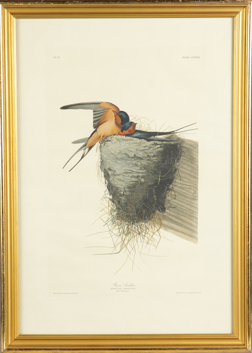 John James Audubon (American