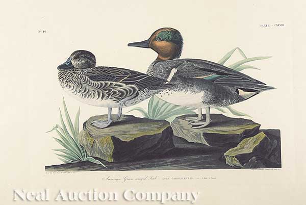 John James Audubon (American
