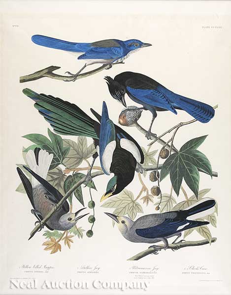 John James Audubon (American