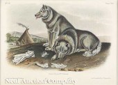 John James Audubon (American 1