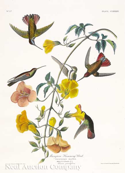 John James Audubon (American